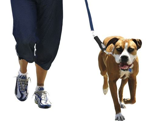 Person führt Hund an der Leine