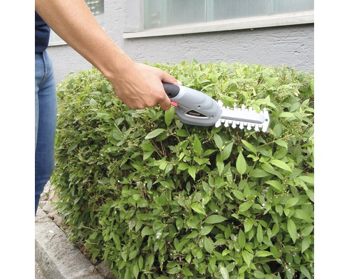 Eine Person schneidet eine Hecke mit einer Akku-Heckenschere
