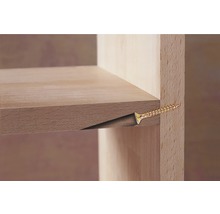Detailansicht einer Holzregalkonstruktion mit einer Schraube