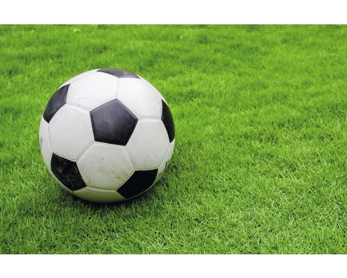 Fußball auf Rasen