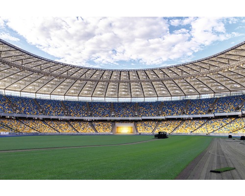 Fußballstadion mit Rasenpflegearbeiten
