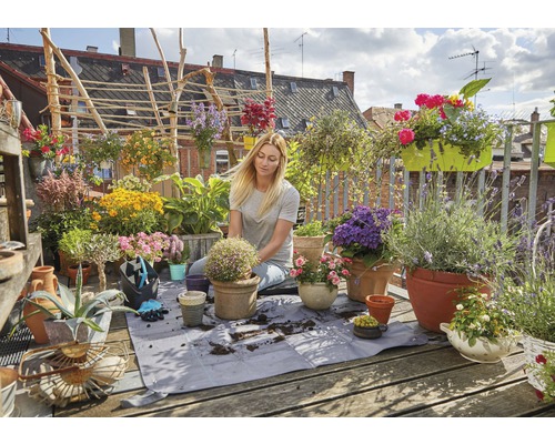 Frau bepflanzt Blumen auf einer begrünten Dachterrasse mit verschiedenen Pflanzen in Töpfen.