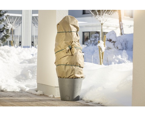 Pflanze im Topf mit Winterschutz vor verschneitem Hintergrund