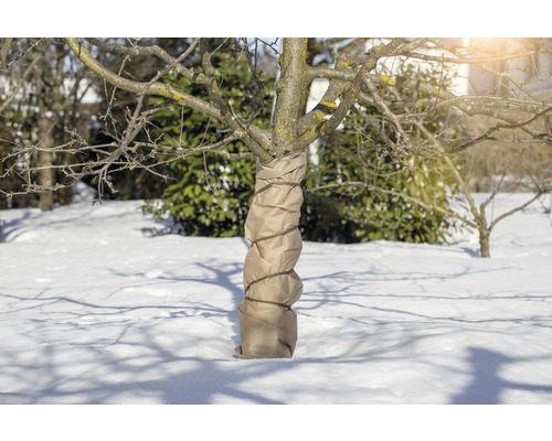 Baumstamm mit Winterschutzmanschette im Schnee