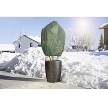 Pflanze im Topf mit Winterschutzhaube im verschneiten Garten