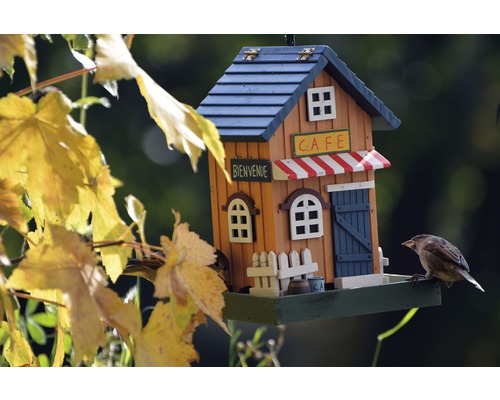 Dekoratives Vogelhaus im Café Design mit kleinem Vogel