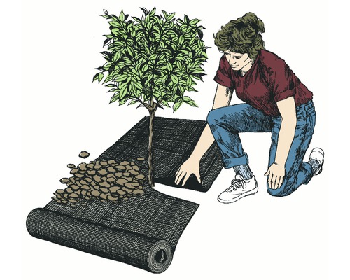 Illustration einer Person, die ein Unkrautvlies um einen Baum legt, mit einer Rolle des Vlieses und einem Haufen Steine