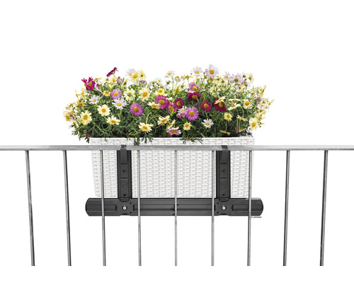Blumenkasten mit Halterung an einem Geländer, gefüllt mit bunten Margeriten