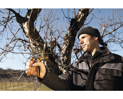 Mann schneidet Baumäste mit einer Gartenschere