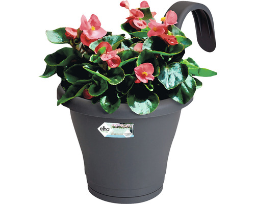 Hängetopf mit rosa Begonien in einem grauen Topf