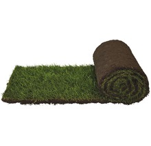 Rollrasen Premium-Rasen Bestellmenge 50 - 99 m² tagesfrisch geschält-thumb-5 Rollrasen Premium-Rasen Bestellmenge 50 - 99 m² tagesfrisch geschält-thumb-5