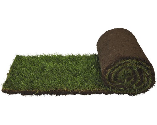 Eine Rolle Rollrasen