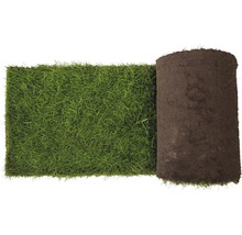 Rollrasen Premium-Rasen Bestellmenge 50 - 99 m² tagesfrisch geschält-thumb-4 Rollrasen Premium-Rasen Bestellmenge 50 - 99 m² tagesfrisch geschält-thumb-4