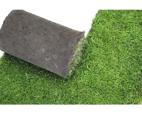 Eine Rolle Rollrasen für den Garten