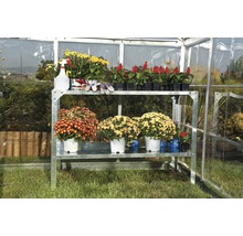 Gewächshaus mit Regal und Pflanzen