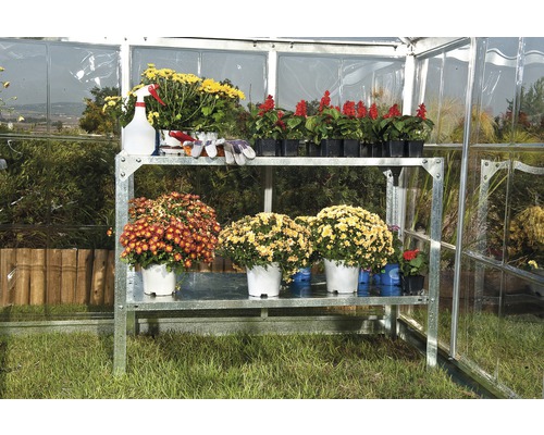 Gewächshaus mit Regal und Pflanzen