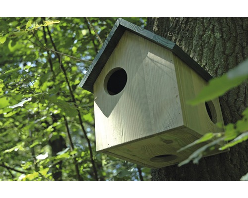 Holz-Nistkasten mit runder Öffnung am Baum