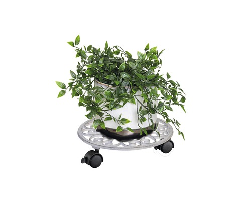 Pflanze in einem Topf auf einem Pflanzenroller