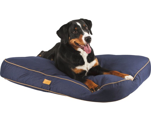 Entlebucher Sennenhund liegt auf Hundebett
