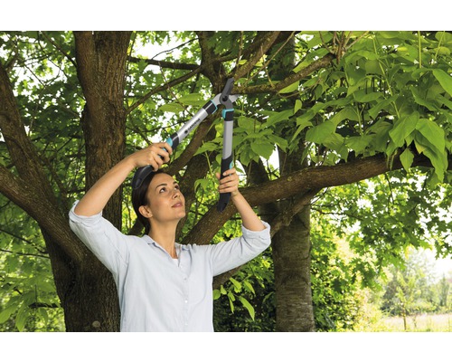 Frau schneidet Baumäste mit einer Gartenschere.