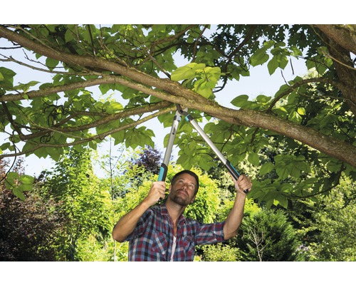 Mann schneidet Baumäste mit einer Astschere im Garten