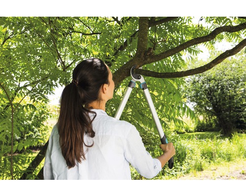 Frau schneidet Baumast mit einer Astschere im Garten.