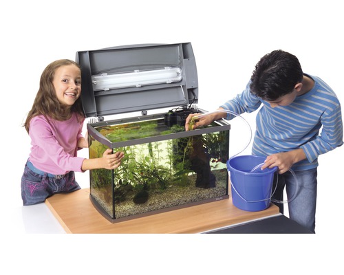 Aquarium mit zwei Kindern bei der Reinigung und Wartung