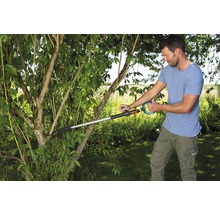 Mann schneidet mit einer Astschere einen Baum im Garten.