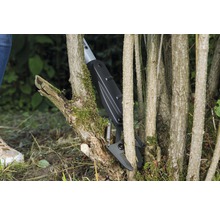 Astschere beim Schneiden von Ästen