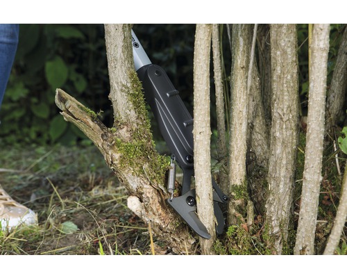 Astschere beim Schneiden von Ästen