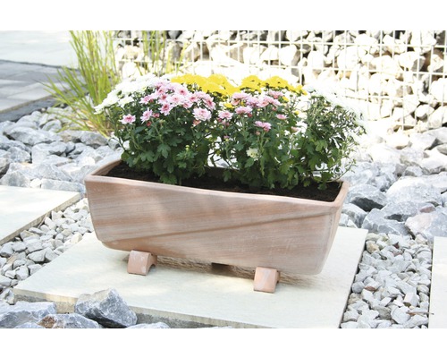 Blumenkasten aus Terrakotta mit saisonalen Blumen auf Steinplatten im Garten.
