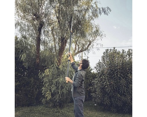 Eine Person benutzt eine Teleskop-Astschere im Garten, um Äste von einem Baum zu schneiden.