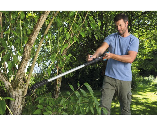 Mann schneidet Baum mit einer Teleskop-Astschere