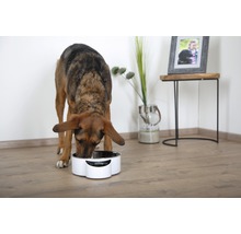 Intelligent Pet Bowl - Eyenimal