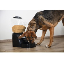 Futterautomat EYENIMAL Electronic Pet Feed