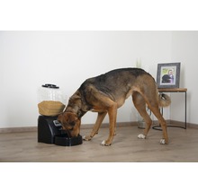 Futterautomat EYENIMAL Electronic Pet Feed