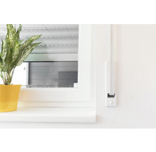 Fenster mit Rollladen und Pflanze im Topf