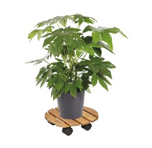 Pflanzenroller Wagner Ø 29 cm TK 100 kg