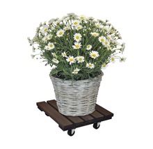 Pflanzenroller Wagner 38x38 cm TK 150 kg
