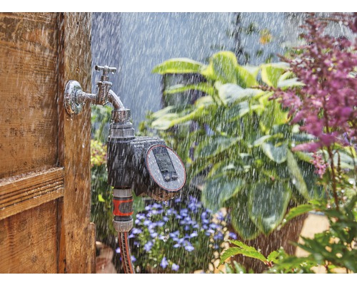 Bewässerungsuhr am Wasserhahn mit Regen im Garten
