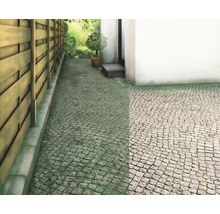Gepflasterter Weg mit Holzzaun neben einem Haus