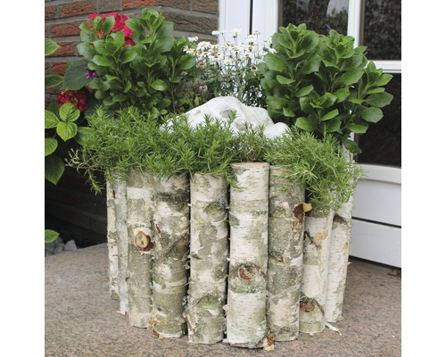 Blumenkübel aus Birkenstämmen mit verschiedenen Pflanzen