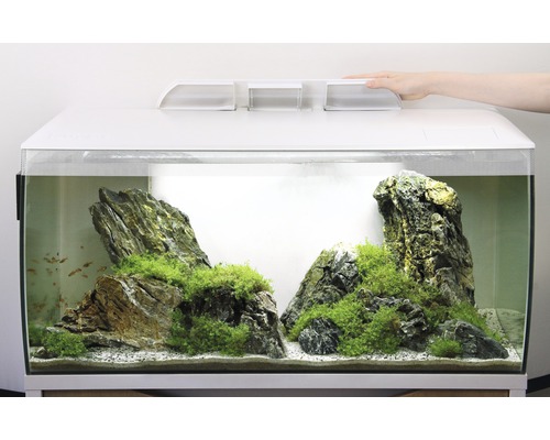 Aquarium Fluval Flex 123 Filter, l HORNBACH LED-Beleuchtung, inkl. 