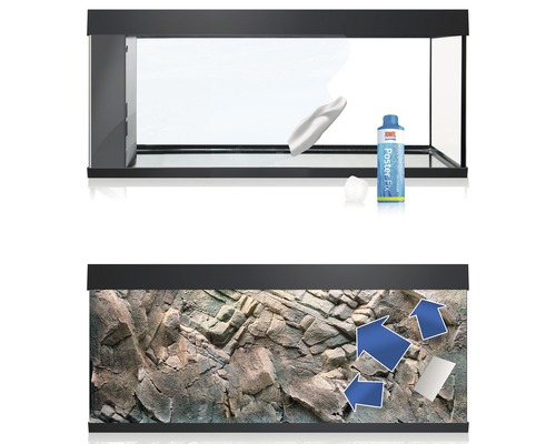 Aquarium mit Dekoration zur Anbringung eines Posters