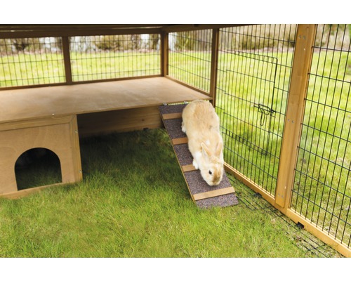 Kaninchen auf Rampe in einem Holzstall mit Drahtgitter