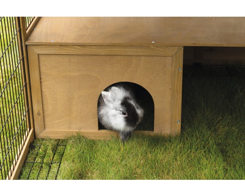 Kaninchen im Holzstall auf Rasen