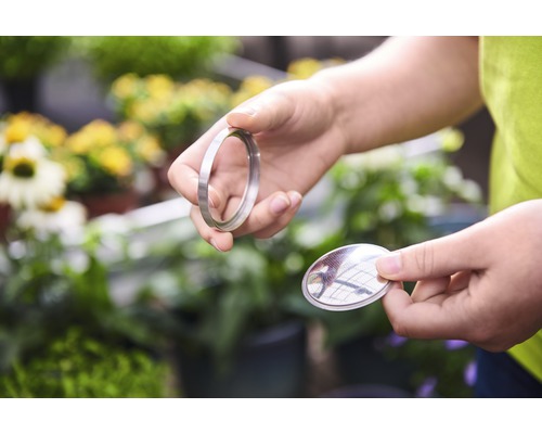 Hände halten Ring und Sieb vor Pflanzen