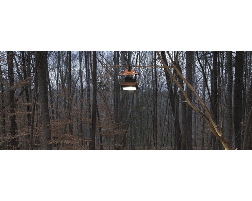 Eine Baustrahler-Arbeitsleuchte hängt an einem Ast im Wald und spendet Licht.