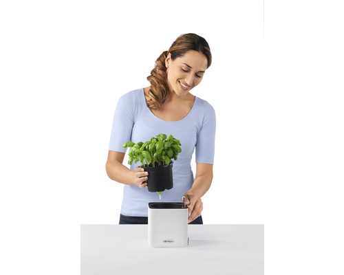 Frau setzt Basilikum in einen Lechuza Blumentopf mit Bewässerungssystem