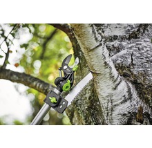 Astschneider mit Säge beim Schneiden eines Astes an einem Baum